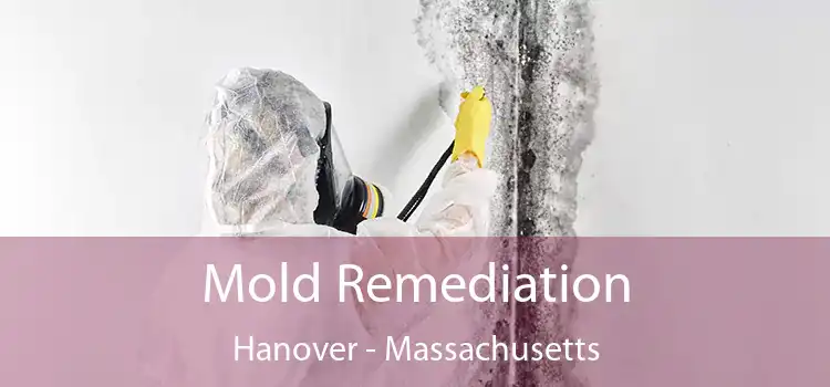 Mold Remediation Hanover - Massachusetts