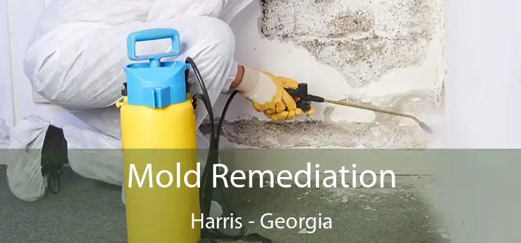 Mold Remediation Harris - Georgia