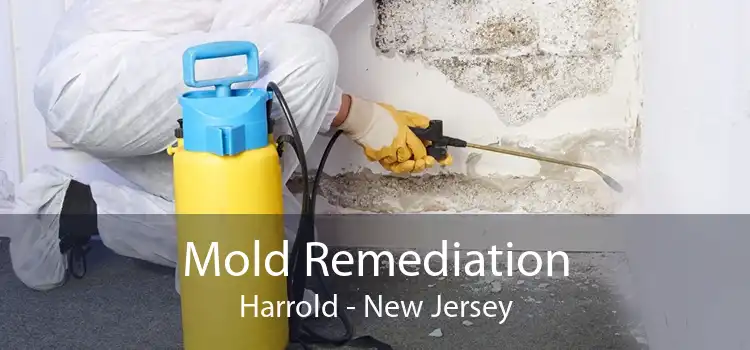 Mold Remediation Harrold - New Jersey