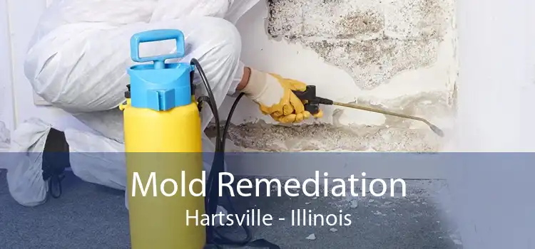 Mold Remediation Hartsville - Illinois