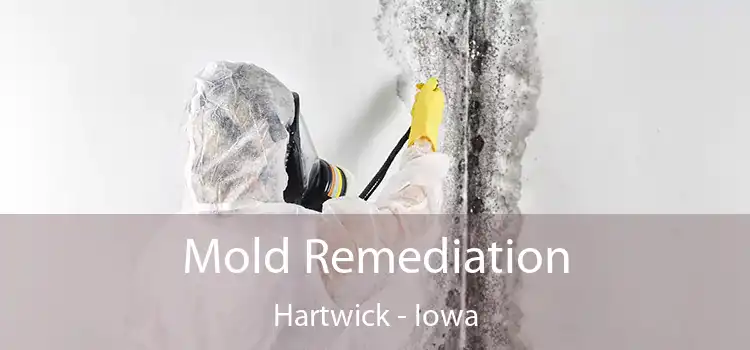 Mold Remediation Hartwick - Iowa