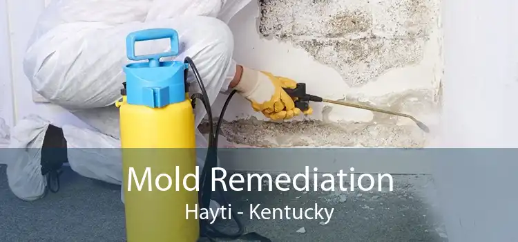Mold Remediation Hayti - Kentucky