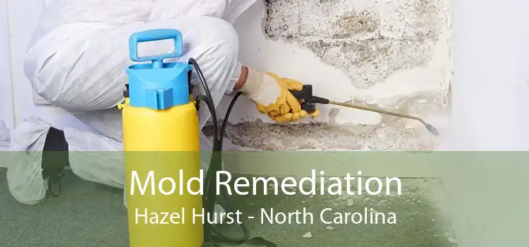 Mold Remediation Hazel Hurst - North Carolina