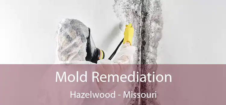 Mold Remediation Hazelwood - Missouri