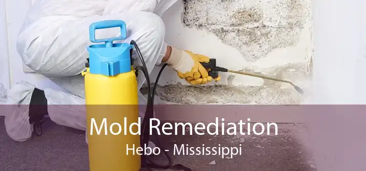 Mold Remediation Hebo - Mississippi