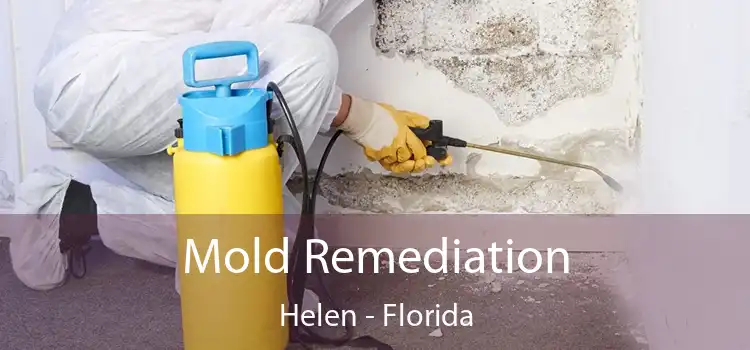 Mold Remediation Helen - Florida