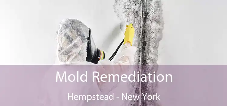 Mold Remediation Hempstead - New York