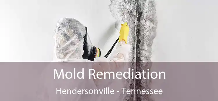 Mold Remediation Hendersonville - Tennessee