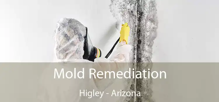 Mold Remediation Higley - Arizona