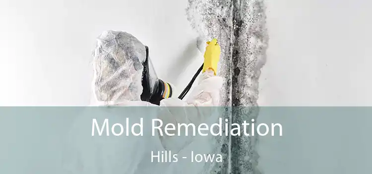 Mold Remediation Hills - Iowa