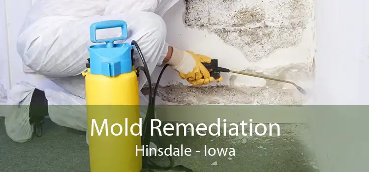Mold Remediation Hinsdale - Iowa