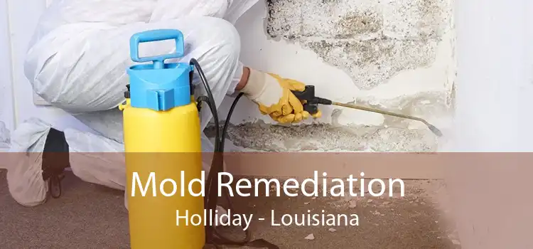 Mold Remediation Holliday - Louisiana
