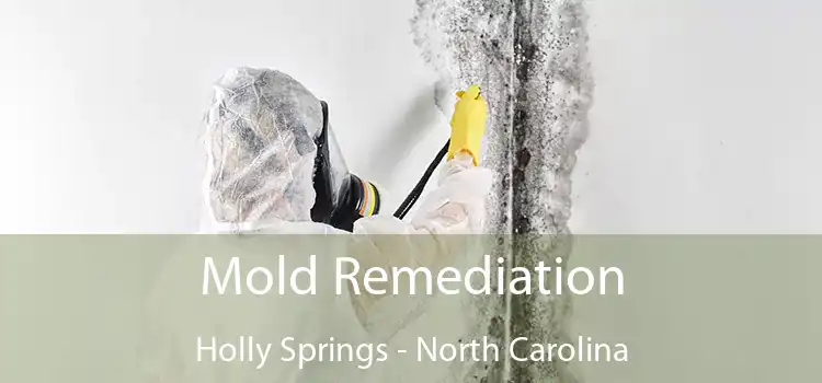 Mold Remediation Holly Springs - North Carolina