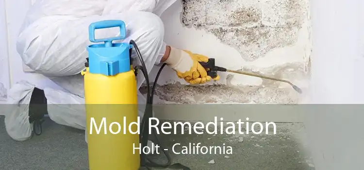Mold Remediation Holt - California