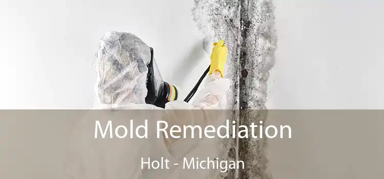 Mold Remediation Holt - Michigan