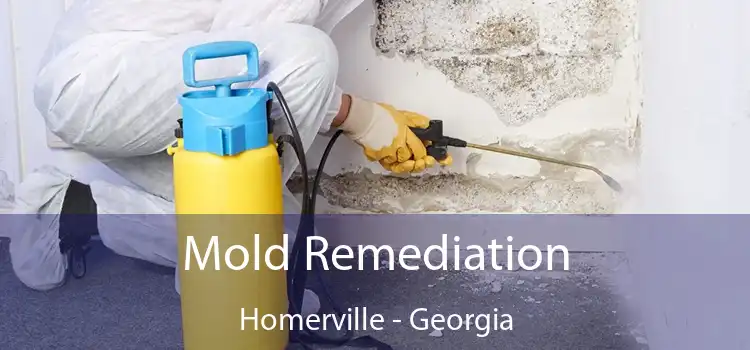 Mold Remediation Homerville - Georgia