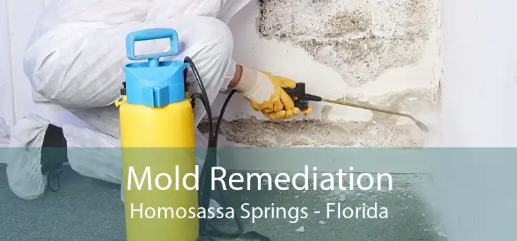 Mold Remediation Homosassa Springs - Florida