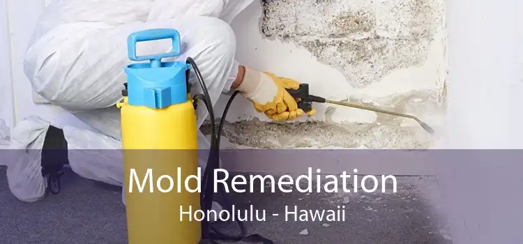 Mold Remediation Honolulu - Hawaii