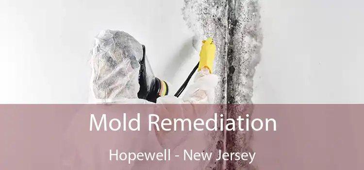 Mold Remediation Hopewell - New Jersey
