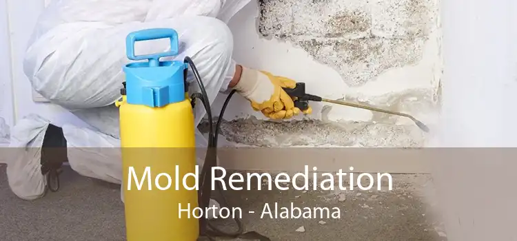 Mold Remediation Horton - Alabama