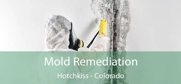 Mold Remediation Hotchkiss - Colorado