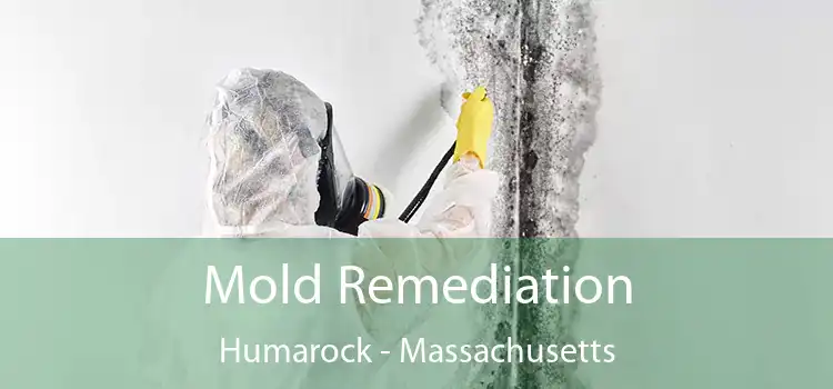 Mold Remediation Humarock - Massachusetts