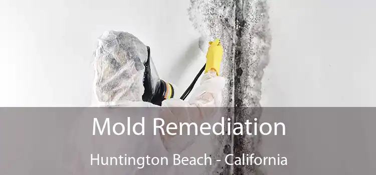 Mold Remediation Huntington Beach - California