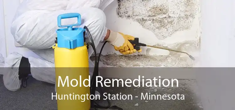 Mold Remediation Huntington Station - Minnesota