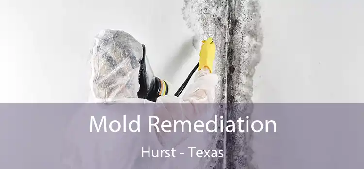 Mold Remediation Hurst - Texas