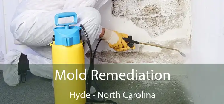 Mold Remediation Hyde - North Carolina