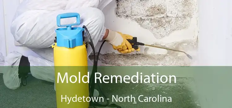 Mold Remediation Hydetown - North Carolina