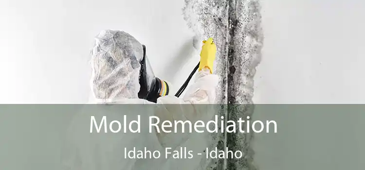 Mold Remediation Idaho Falls - Idaho