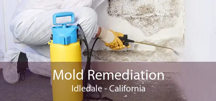 Mold Remediation Idledale - California