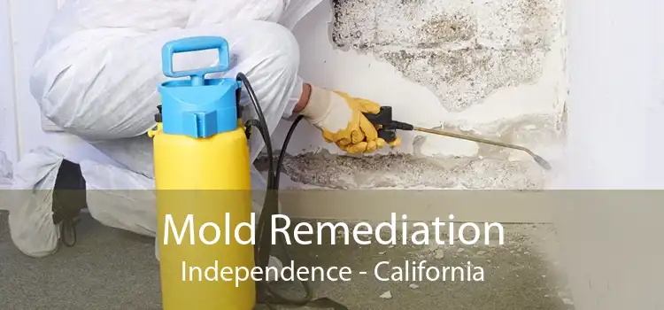 Mold Remediation Independence - California