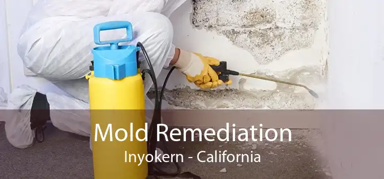 Mold Remediation Inyokern - California