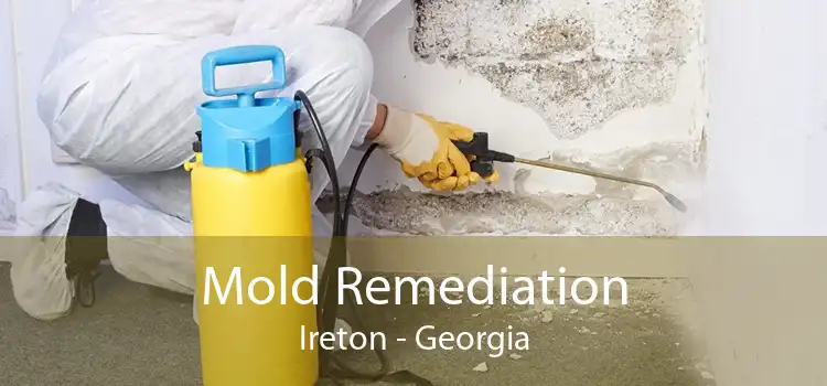 Mold Remediation Ireton - Georgia