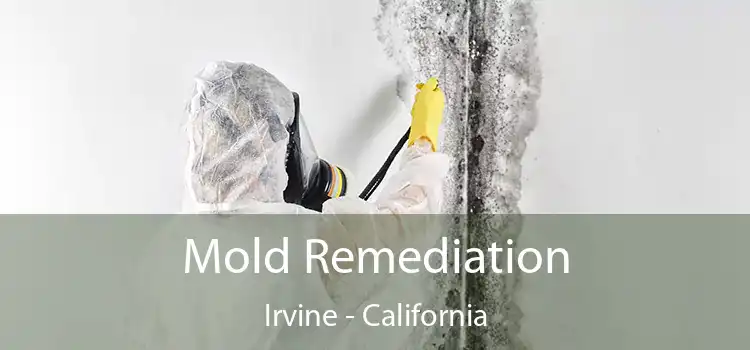 Mold Remediation Irvine - California