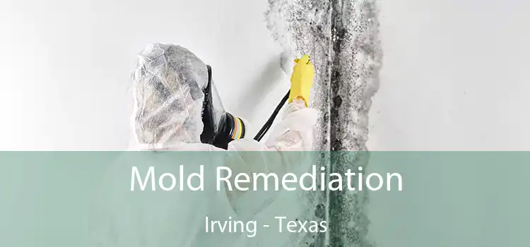 Mold Remediation Irving - Texas