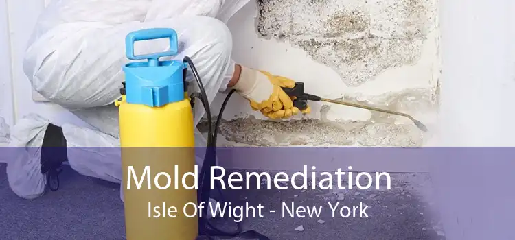 Mold Remediation Isle Of Wight - New York