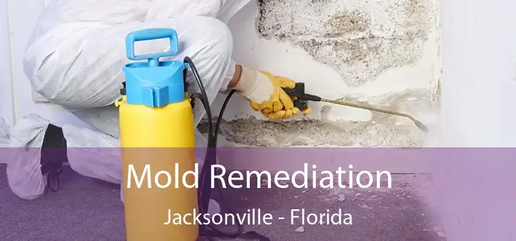 Mold Remediation Jacksonville - Florida