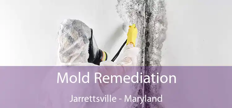 Mold Remediation Jarrettsville - Maryland