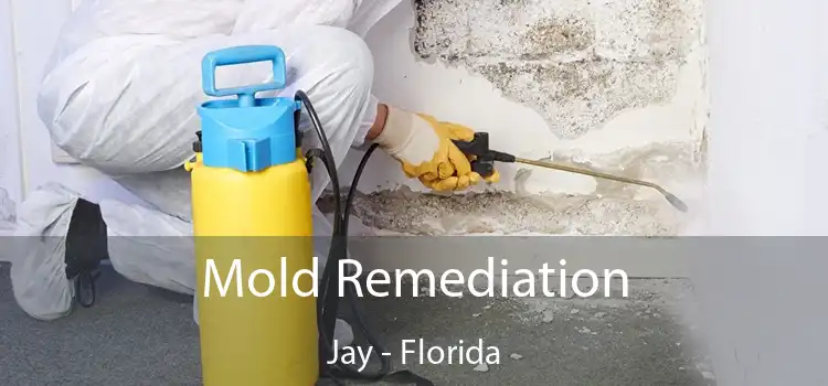 Mold Remediation Jay - Florida