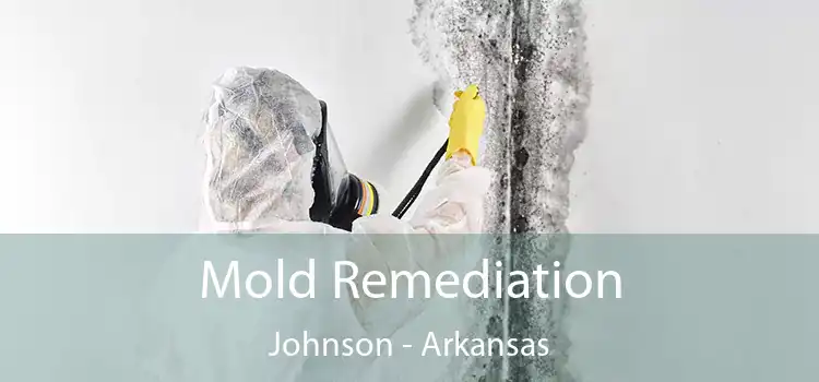 Mold Remediation Johnson - Arkansas