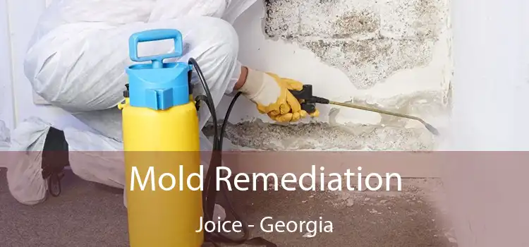 Mold Remediation Joice - Georgia