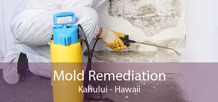 Mold Remediation Kahului - Hawaii