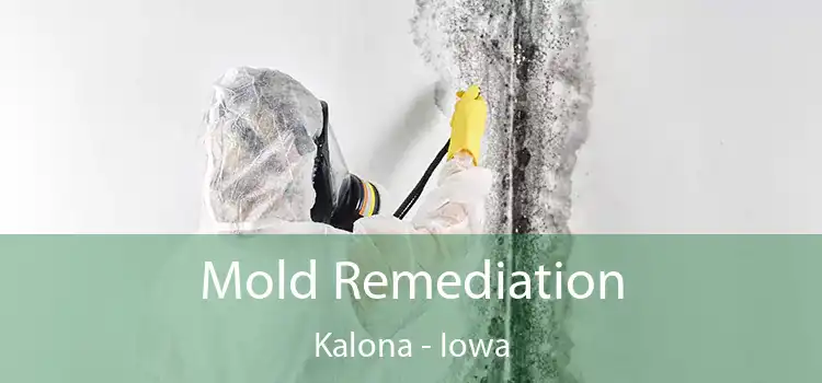 Mold Remediation Kalona - Iowa