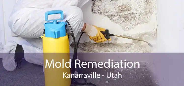 Mold Remediation Kanarraville - Utah