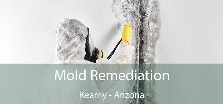 Mold Remediation Kearny - Arizona