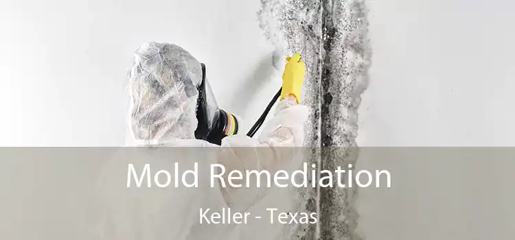 Mold Remediation Keller - Texas