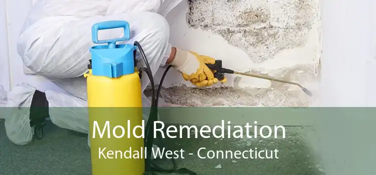Mold Remediation Kendall West - Connecticut